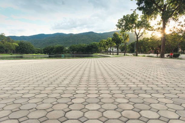 Best Driveway Paving Near Me  in Ogden, NC