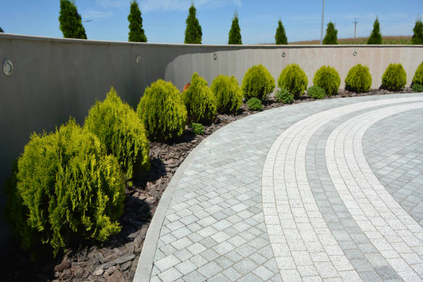 Reasons to Select Us for Your Driveway Paving Requirements in Ogden, NC